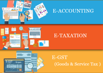 advanced-accounting-course-in-delhi-gst-and-custom-return-filing-course-in-delhi-100-job-guarantee-course-by-sla-consultants-big-0