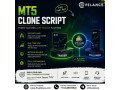 launch-your-trading-business-with-an-advanced-metatrader-clone-app-small-0