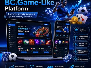 budget-friendly-bcgame-clone-solution-roi-guaranteed