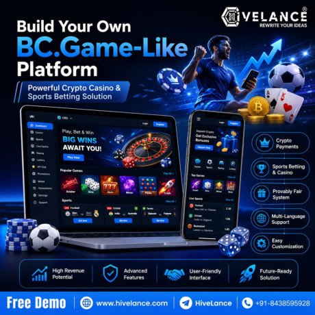 budget-friendly-bcgame-clone-solution-roi-guaranteed-big-0