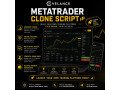 metatrader-clone-script-with-complete-source-code-small-0