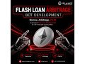 pre-built-flash-loan-arbitrage-bot-for-sale-fully-tested-small-0
